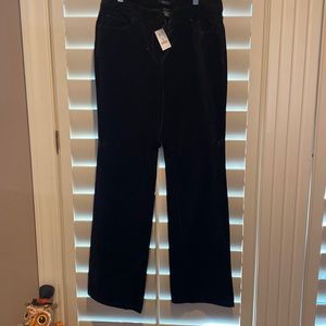 White House black market black velvet boot leg pant